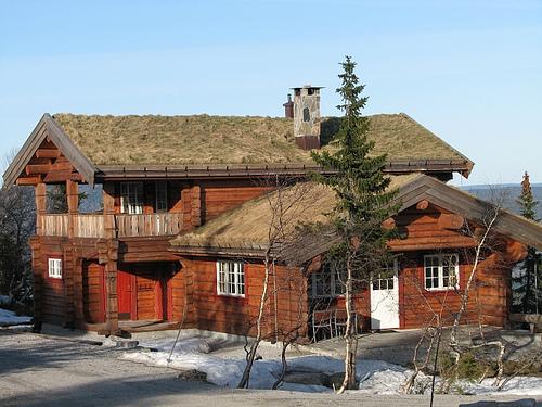 Фото дома в норвежском стиле с зеленой крышей
